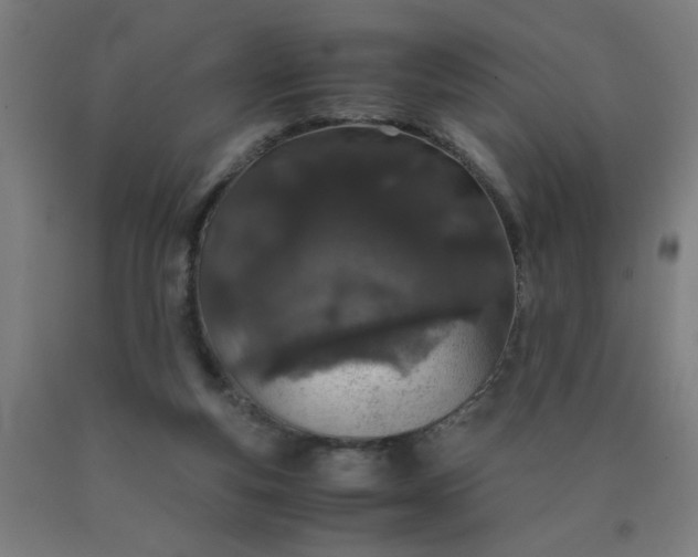 X0000090620163200707311251