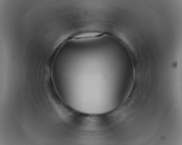 X0000090620164200707311251