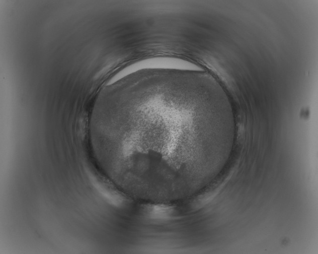 X0000090620165200707311251