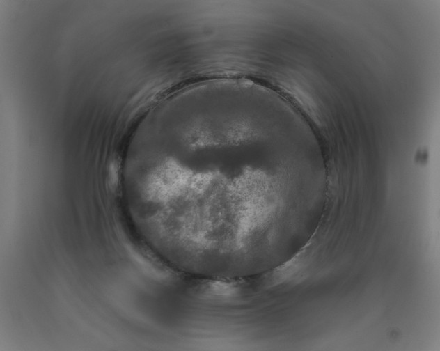 X0000090620166200707311251