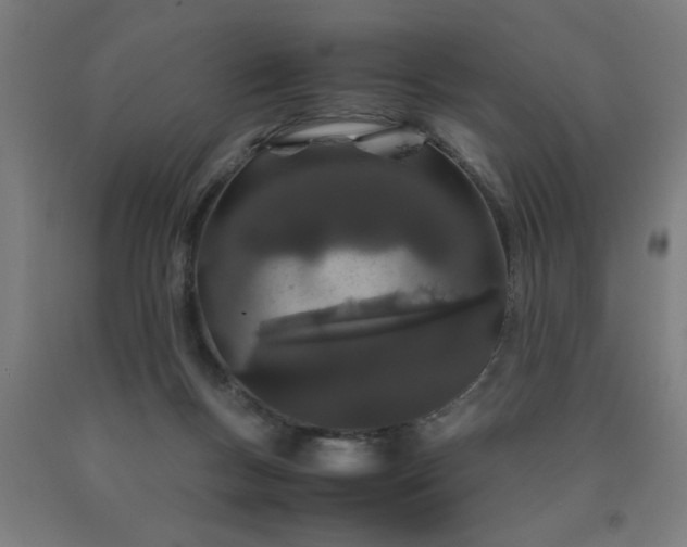 X0000090620167200707311251