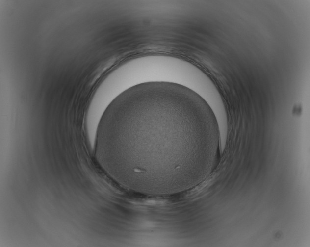 X0000090620168200707311251