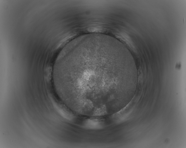 X0000090620171200707311251