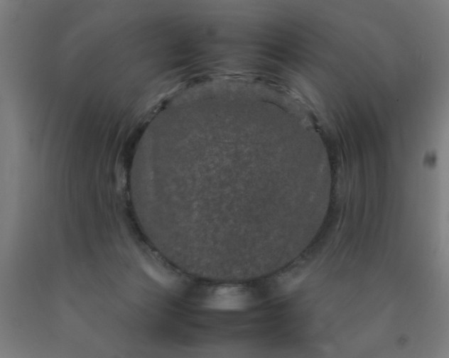 X0000090620173200707311251