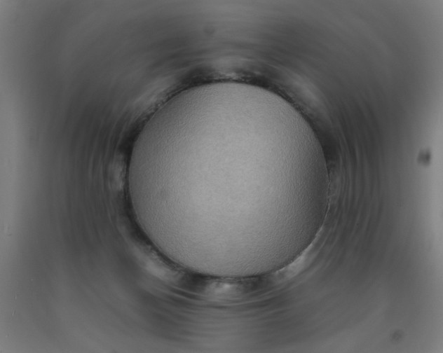 X0000090620174200707311252