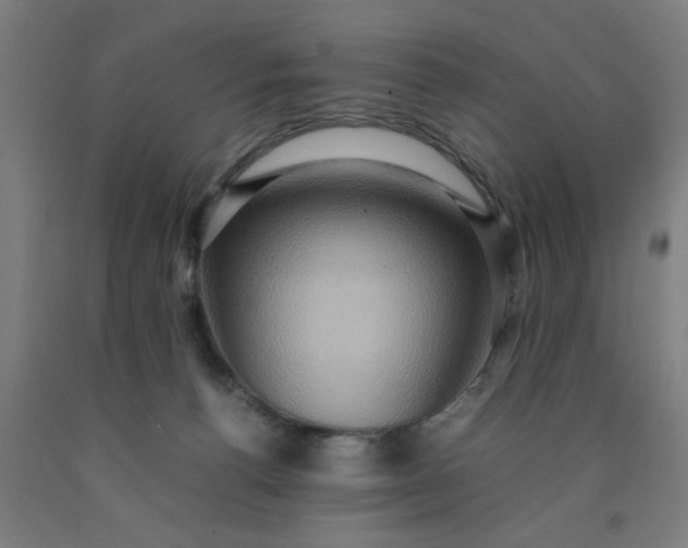 X0000090620176200707311252