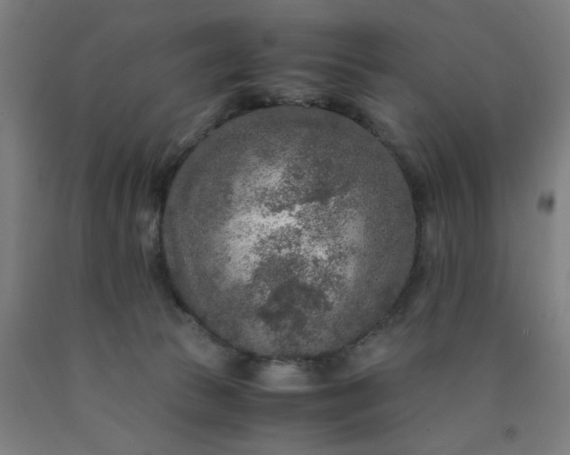 X0000090620177200707311252