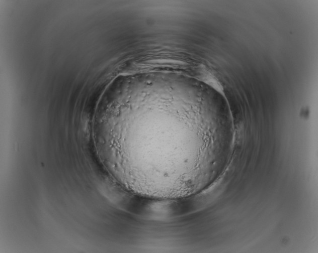 X0000090620178200707311252