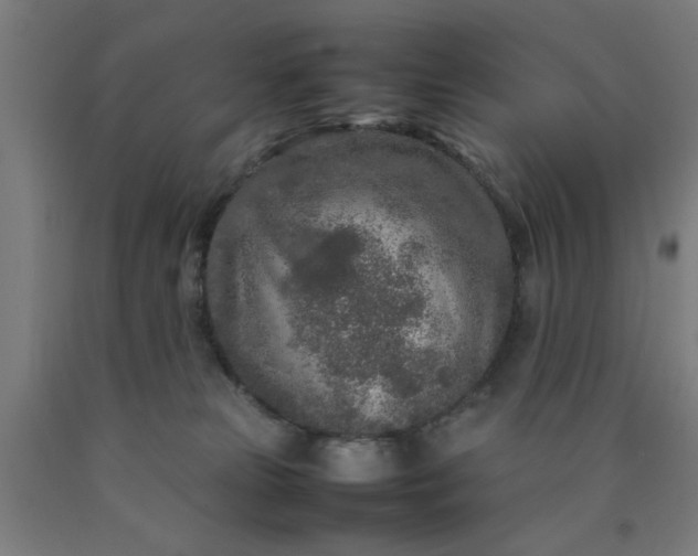 X0000090620181200707311252