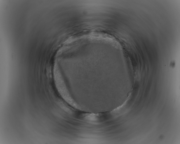 X0000090620182200707311252