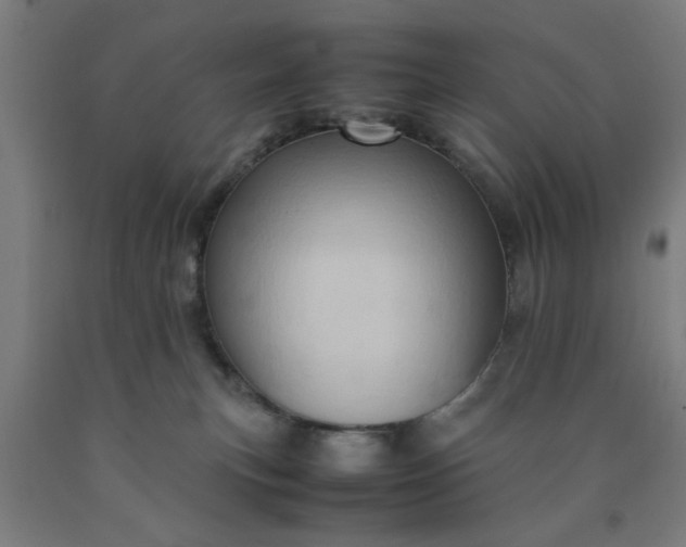 X0000090620183200707311252