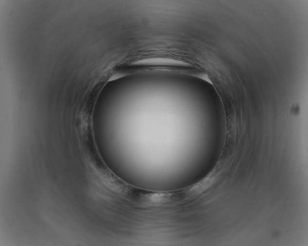 X0000090620184200707311252