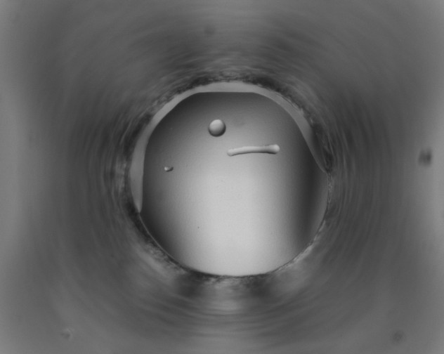 X0000090620186200707311252