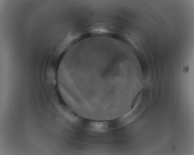 X0000090620187200707311252