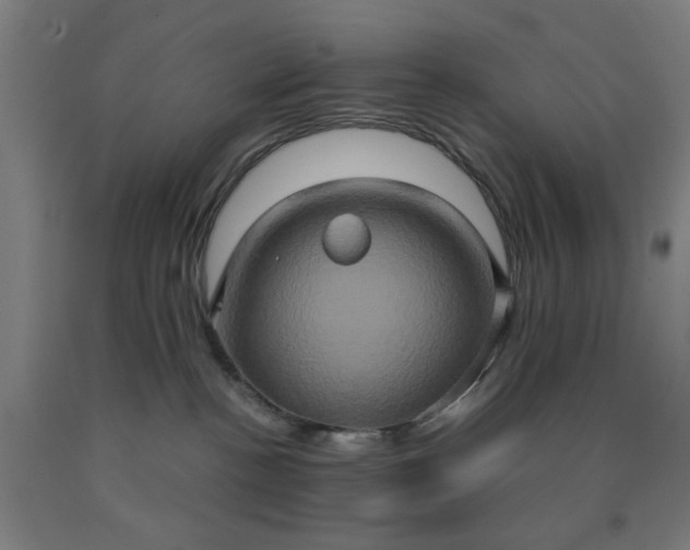 X0000090620188200707311252