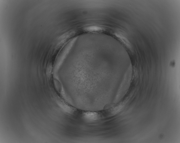 X0000090620189200707311252