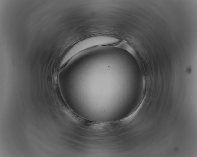 X0000090620190200707311252