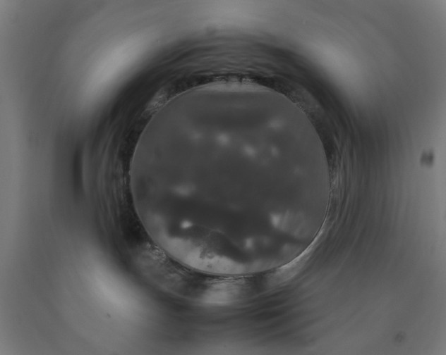 X0000090620191200707311252