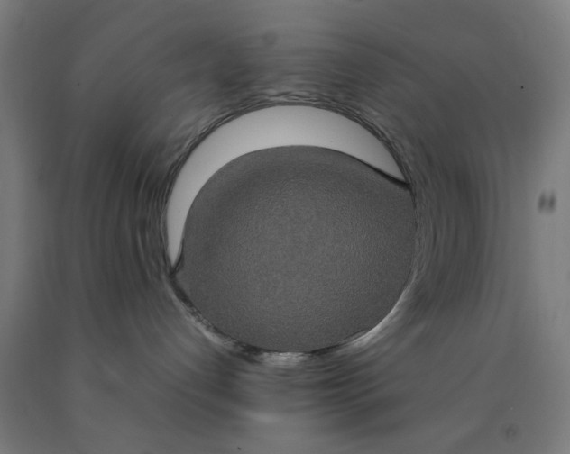 X0000090620192200707311252