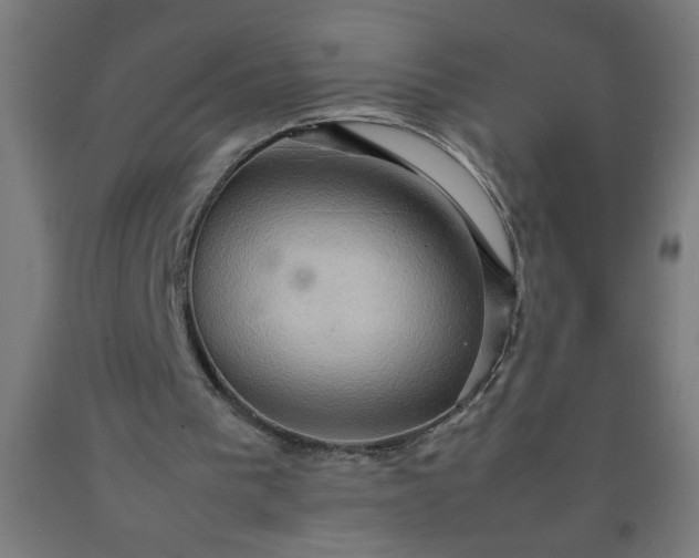 X0000090620193200707311251