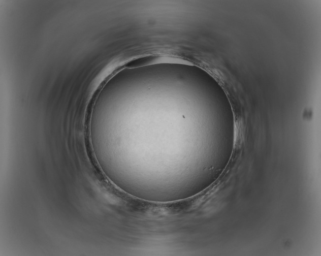 X0000090620195200707311251