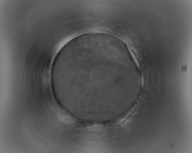 X0000090620196200707311251