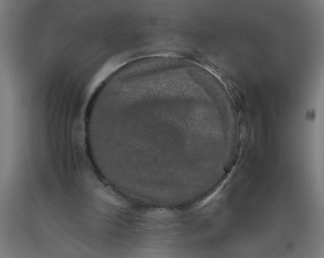 X0000090620198200707311251