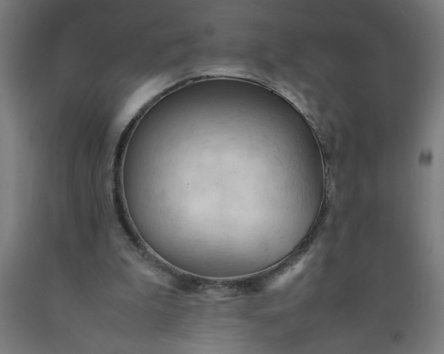 X0000090620199200707311251