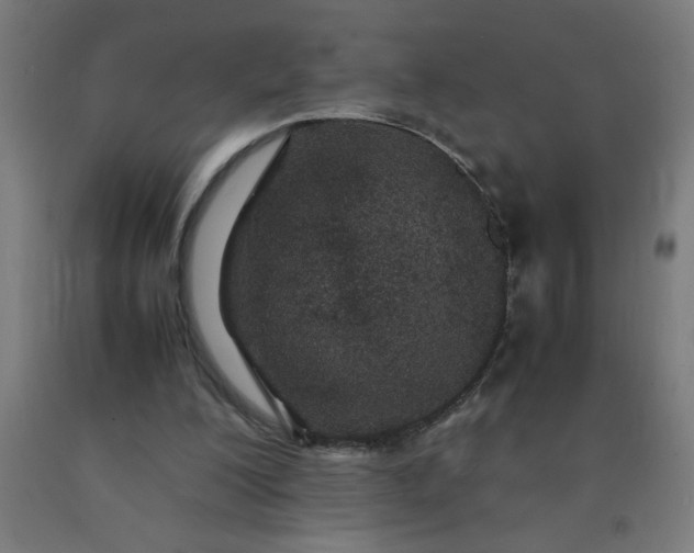 X0000090620200200707311251