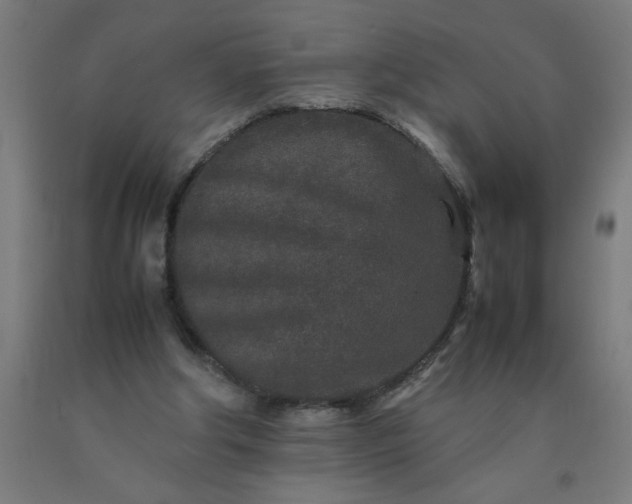 X0000090620202200707311251