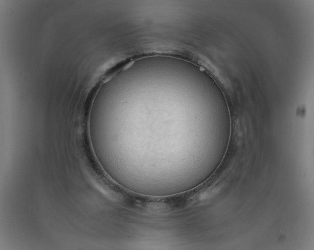 X0000090620203200707311251