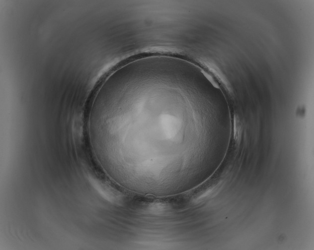 X0000090620204200707311251