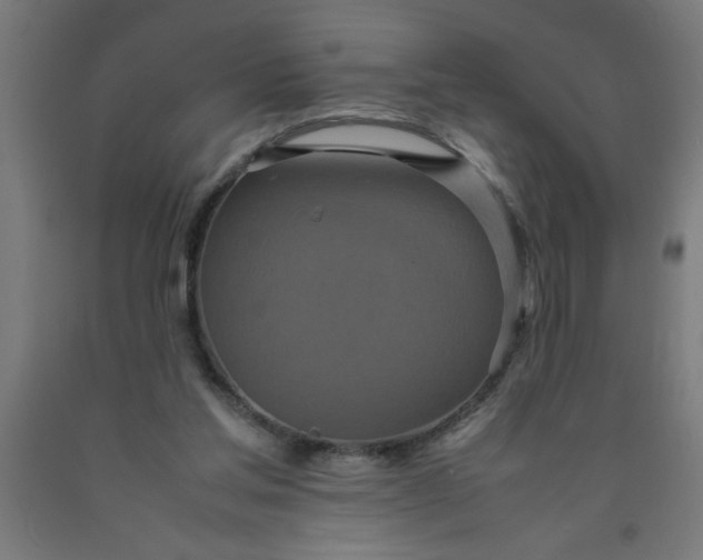 X0000090620205200707311251