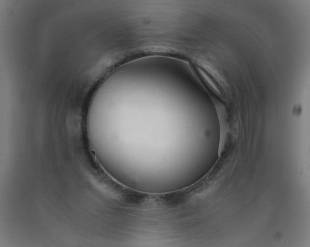 X0000090620207200707311251