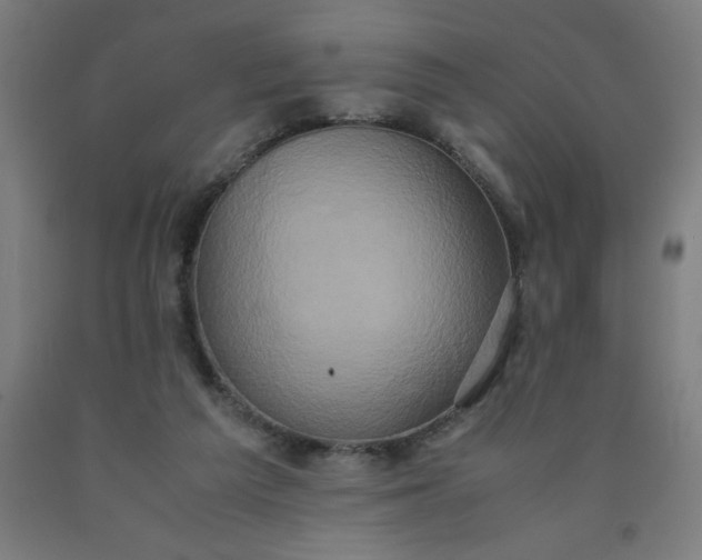 X0000090620209200707311251