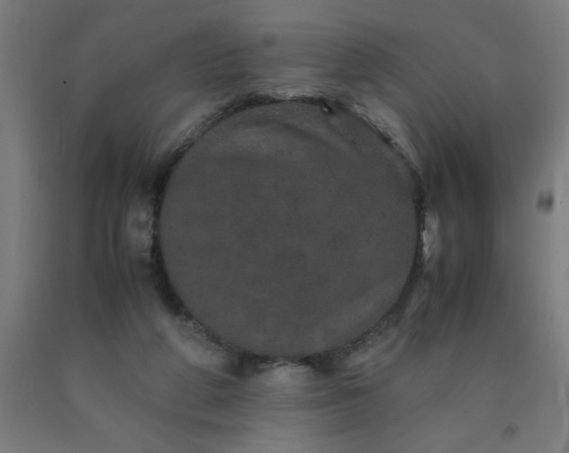 X0000090620210200707311251