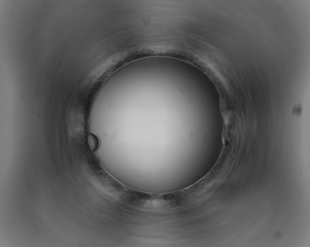 X0000090620212200707311251