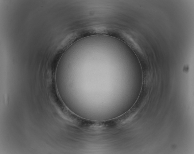 X0000090620213200707311251