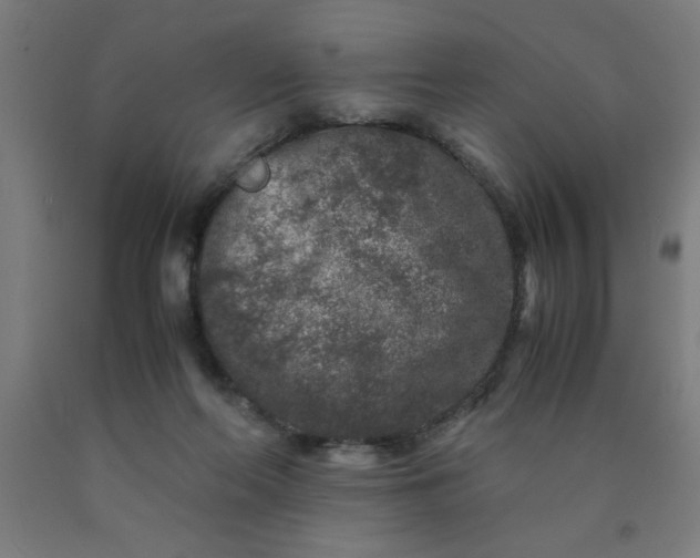 X0000090620214200707311251