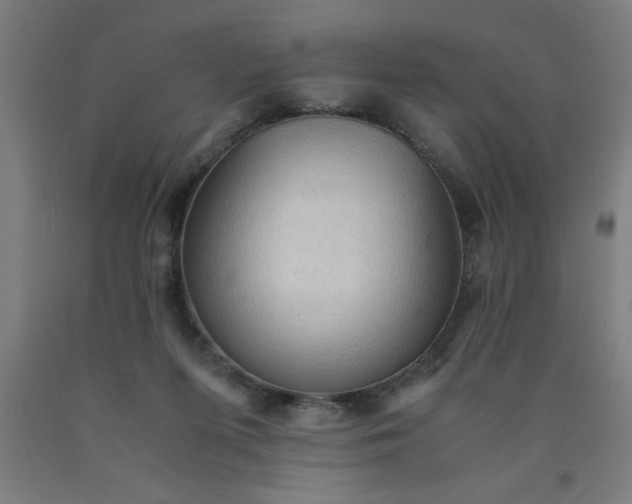 X0000090620215200707311251