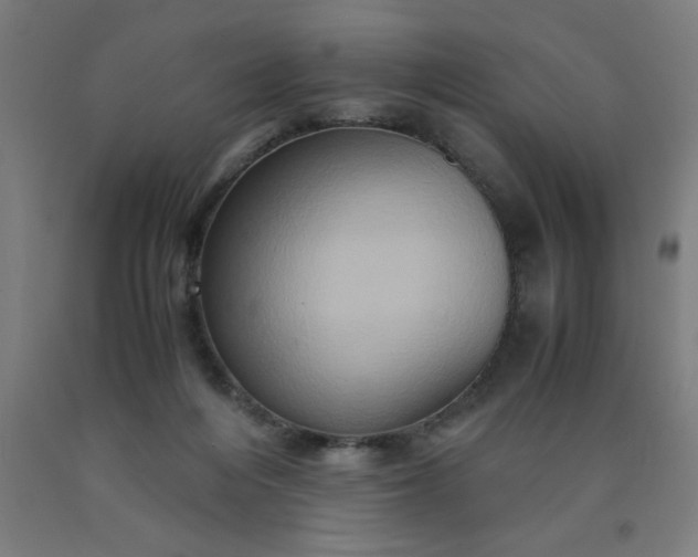 X0000090620216200707311251