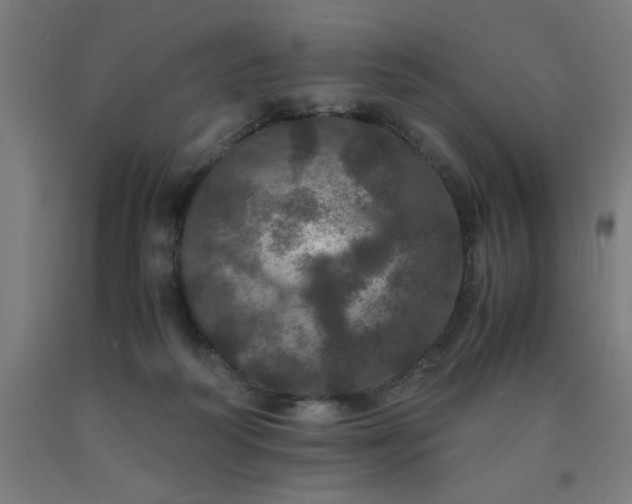 X0000090620218200707311251