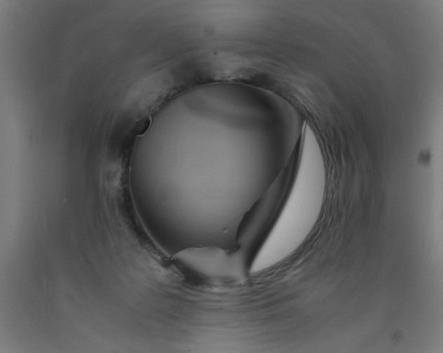 X0000090620219200707311251