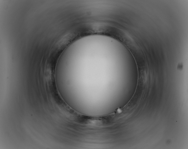 X0000090620220200707311251