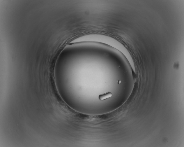 X0000090620221200707311251