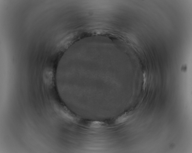 X0000090620222200707311251