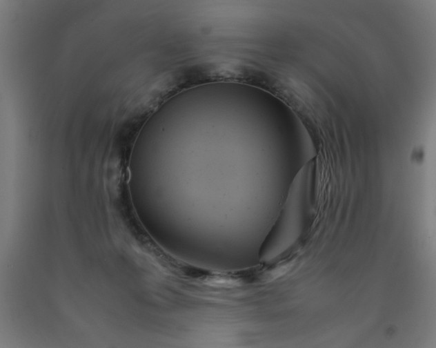 X0000090620223200707311251