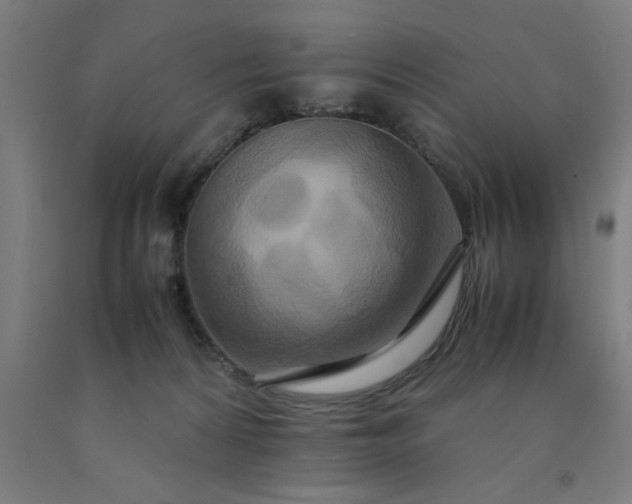 X0000090620224200707311251