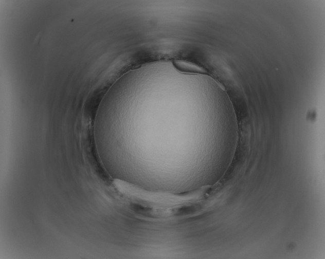 X0000090620225200707311251