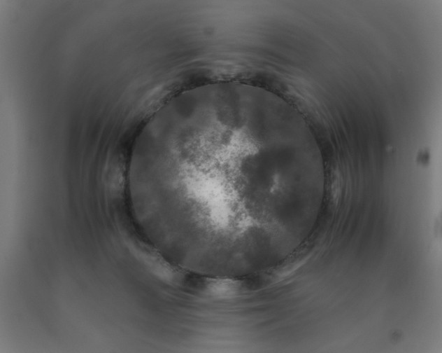 X0000090620226200707311251